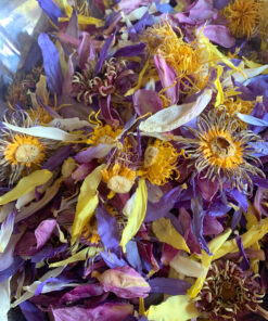 Waterlily Flower Tea 6