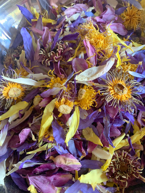 Waterlily Flower Tea - Image 7