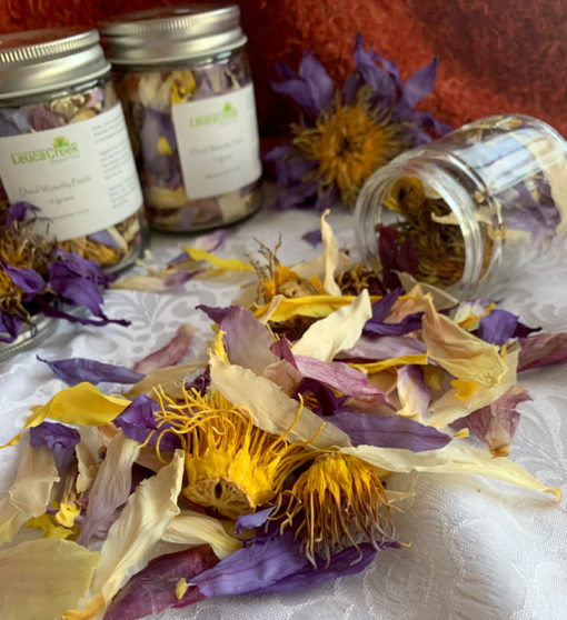 Waterlily Flower Tea - Image 8