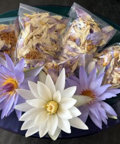 Waterlily Flower Tea 4