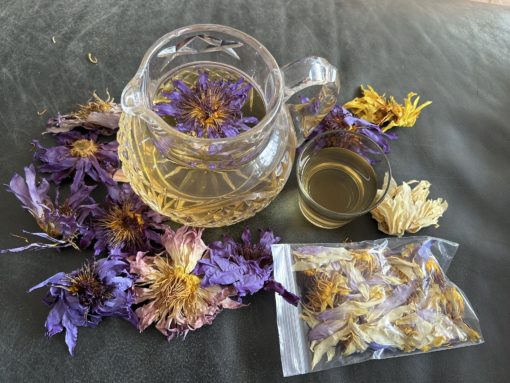 Waterlily Flower Tea